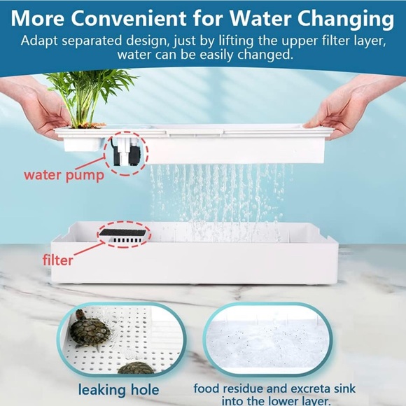 Glass Turtle Tank - Picture 4 of 6